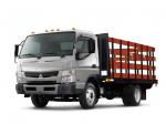 Mitsubishi Fuso Canter 2010 года (US)